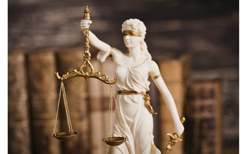 tribunal constitucional